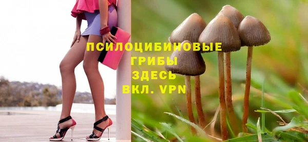 ешки Верея