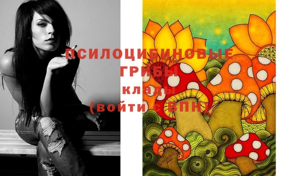 СК Верхний Тагил