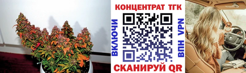 ТГК THC oil  Купить где  Сосновоборск 