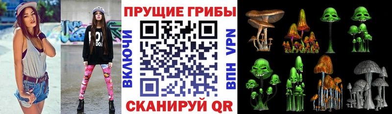 Псилоцибиновые грибы Cubensis Сосновоборск